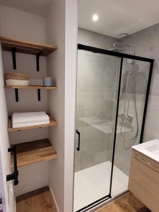 Studio 2 Voyageurs Au Coeur De Ville Sallanches Esterno foto
